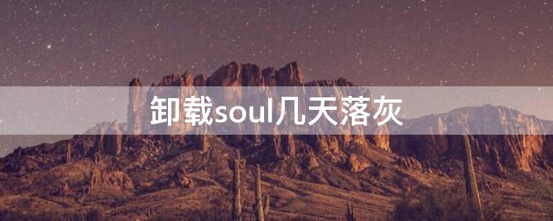 卸载soul几天落灰