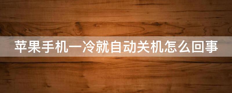 iPhone手机一冷就自动关机怎么回事