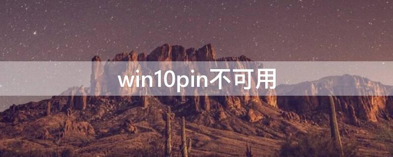 win10pin不可用