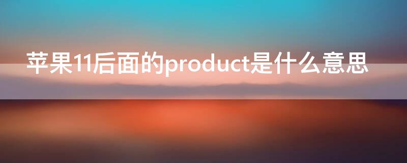 iPhone11后面的product是什么意思