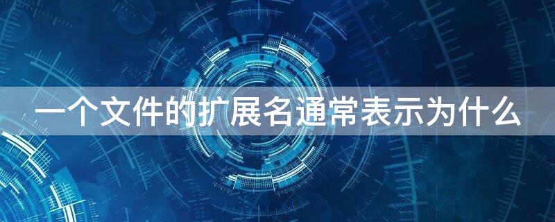 一个文件的扩展名通常表示为什么