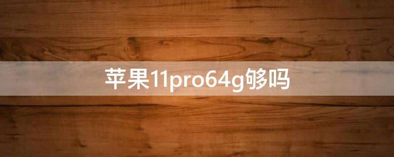 iPhone11pro64g够吗