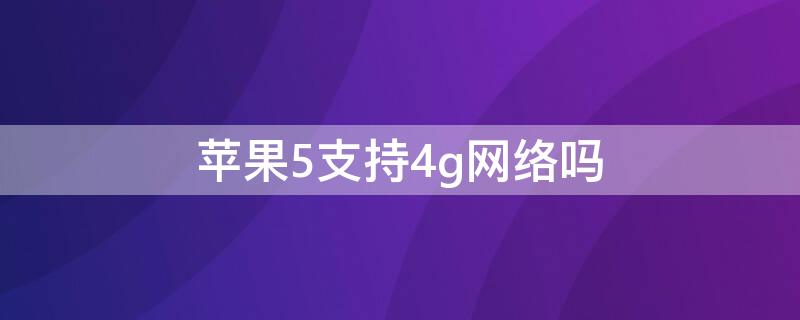 iPhone5支持4g网络吗