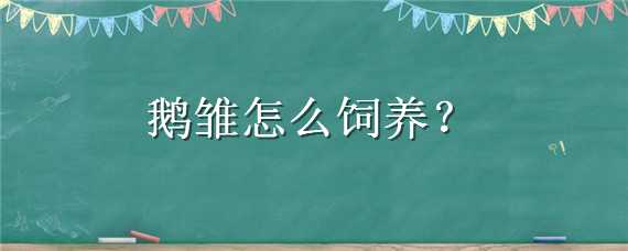 鹅雏怎么饲养