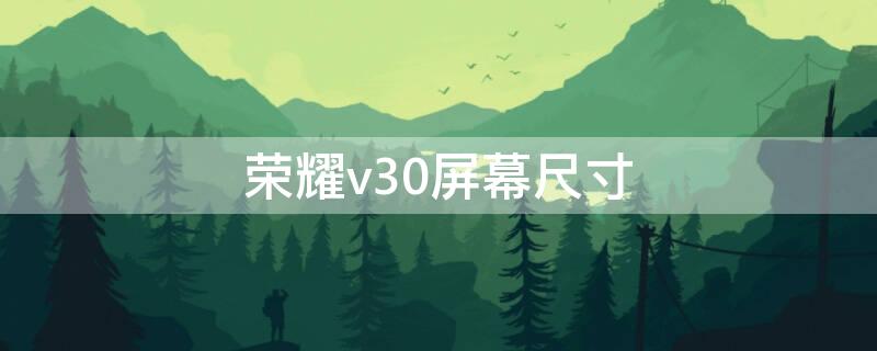 荣耀v30屏幕尺寸