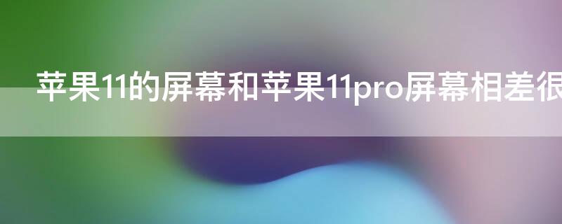 iPhone11的屏幕和iPhone11pro屏幕相差很多吗