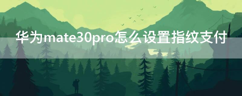 华为mate30pro怎么设置指纹支付