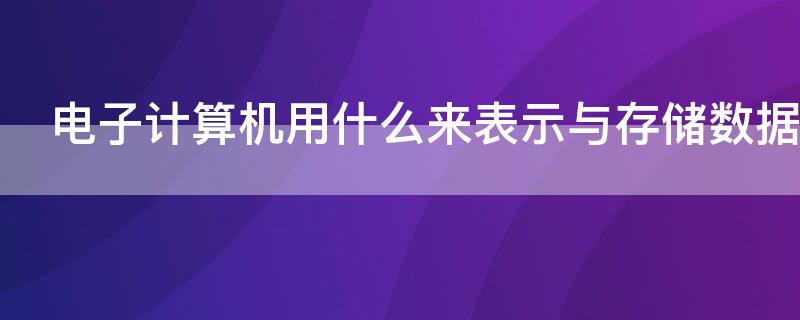 电子计算机用什么来表示与存储数据