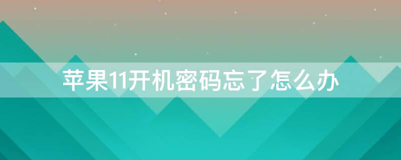 iPhone11开机密码忘了怎么办
