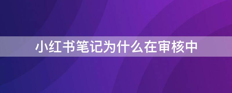 小红书笔记为什么在审核中