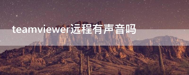 teamviewer远程有声音吗