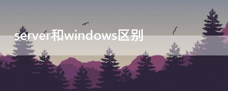 server和windows区别