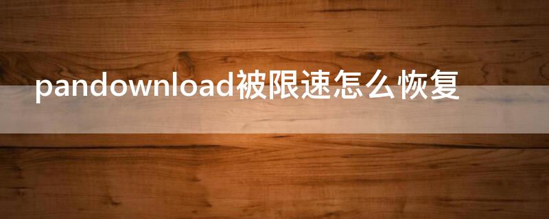 pandownload被限速怎么恢复