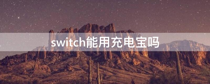 switch能用充电宝吗