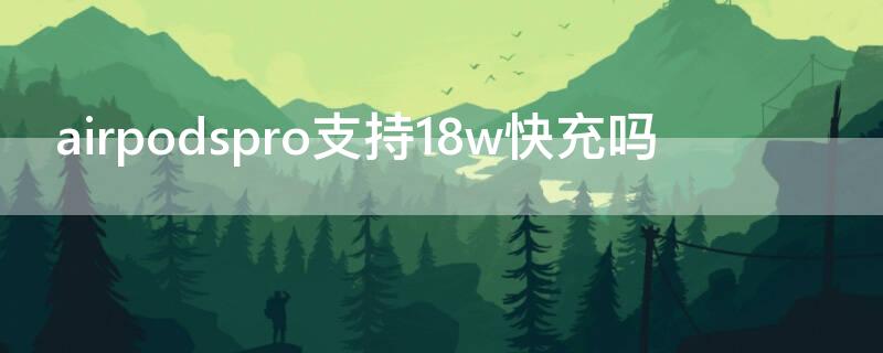 airpodspro支持18w快充吗 airpodspro可以18w快充吗