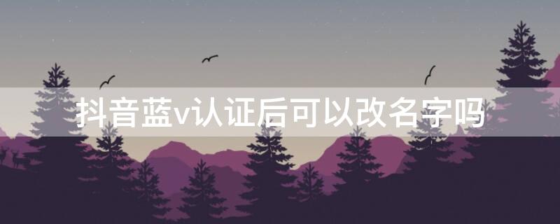 抖音蓝v认证后可以改名字吗 抖音蓝v认证后怎么改名字