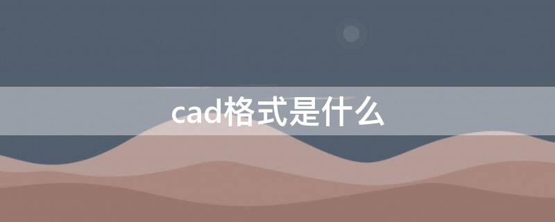 cad格式是什么（cad格式）