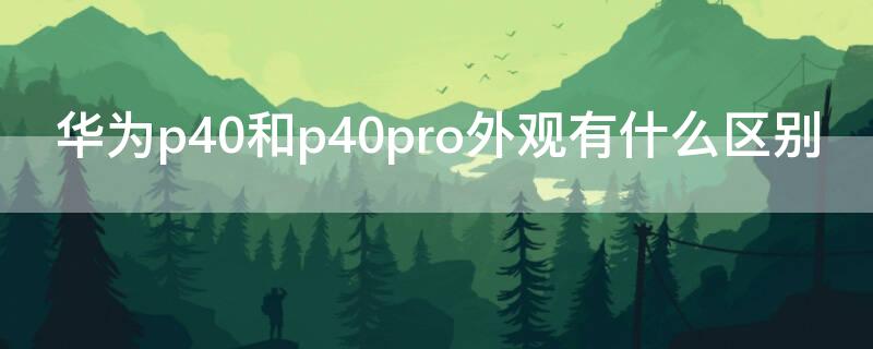 华为p40和p40pro外观有什么区别