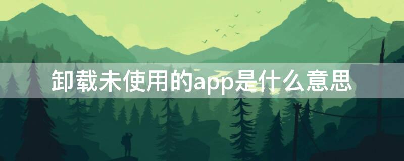 卸载未使用的app是什么意思 卸载未使用的App