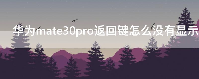 华为mate30pro返回键怎么没有显示了（华为mate30pro回车键找不到了）