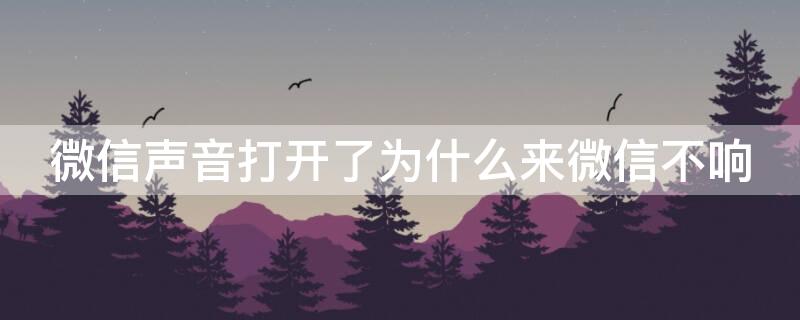 微信声音打开了为什么来微信不响 微信开着声音来消息为什么不响