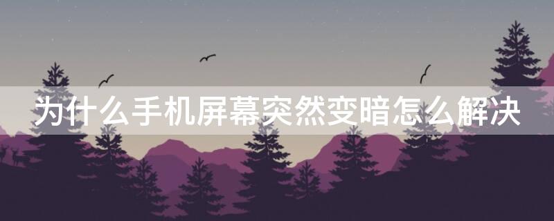 为什么手机屏幕突然变暗怎么解决（手机屏幕突然变暗怎么回事）