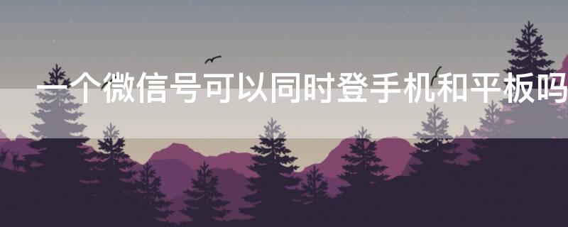 一个微信号可以同时登手机和平板吗（一个微信号可以同时登一个手机和一个平板吗）