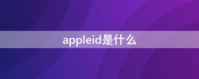 appleid是什么（appleid是什么意思怎么填写的视频）