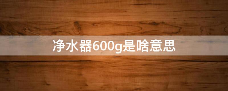 净水器600g是啥意思 净水器700g是什么意思