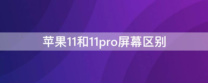 iPhone11和11pro屏幕区别 iphone11pro屏幕和11屏幕差别