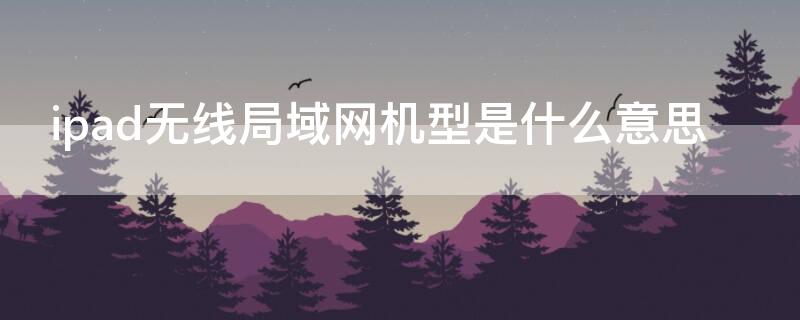 ipad无线局域网机型是什么意思 ipad无线网络机型什么意思