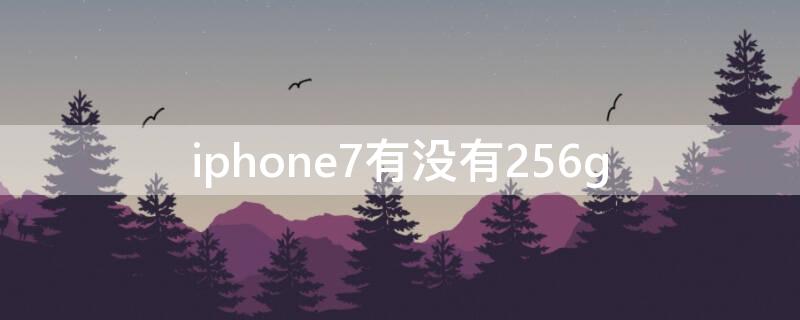 iPhone7有没有256g（iphone7有没有256g的内存）