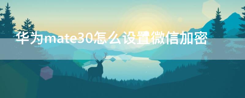 华为mate30怎么设置微信加密 华为mate30微信加密如何设置