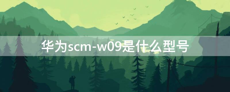 华为scm-w09是什么型号（华为 scm-w09）