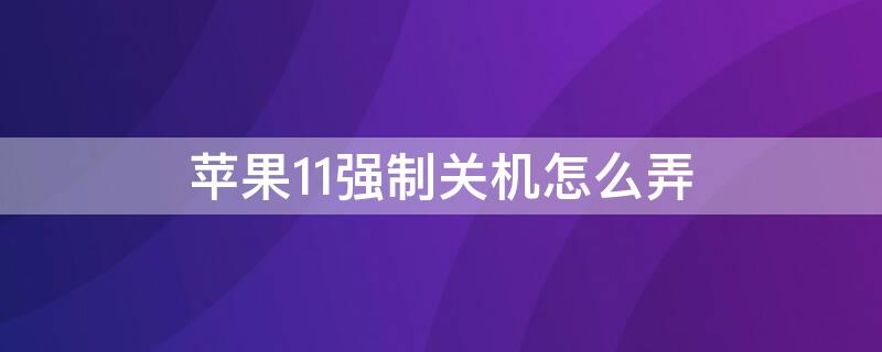 iPhone11强制关机怎么弄（iphone11强制关机怎么操作）