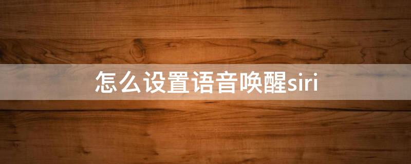 怎么设置语音唤醒siri（苹果13怎么设置语音唤醒siri）