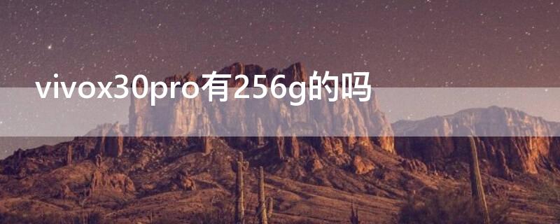 vivox30pro有256g的吗 vivox30有256内存的吗