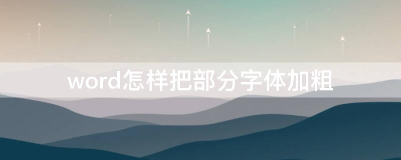 word怎样把部分字体加粗（word怎么把字体加粗）