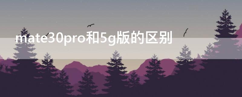 mate30pro和5g版的区别 华为mate30和mate30pro的区别