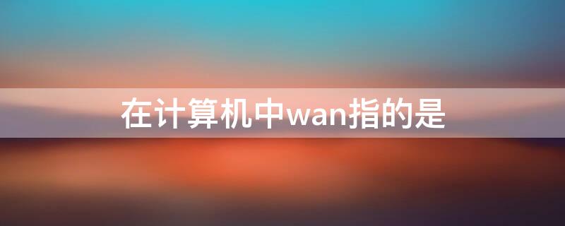 在计算机中wan指的是 计算机中wan表示的是