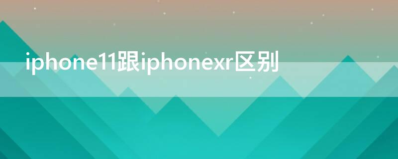 iPhone11跟iPhonexr区别 iphonexr跟iphone11的区别