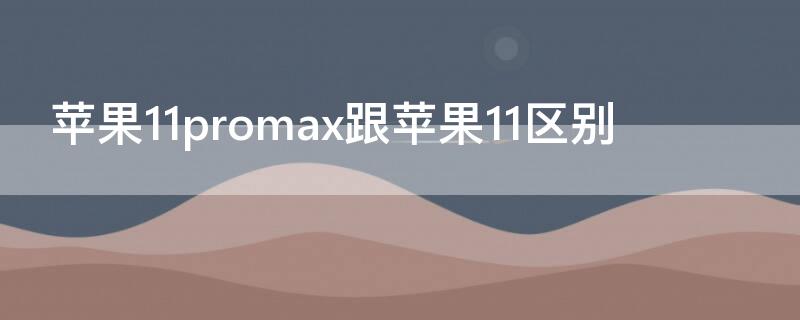 iPhone11promax跟iPhone11区别（iphone11pro和11max区别）