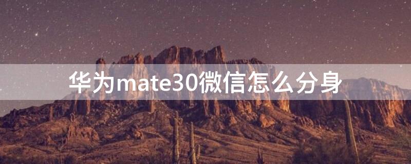 华为mate30微信怎么分身（华为mate30微信怎么分身没有隐私选项）