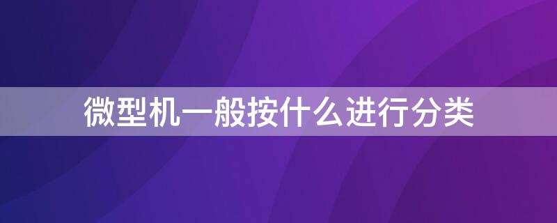 微型机一般按什么进行分类（微型机可分为）