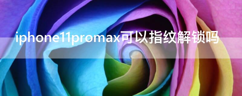 iPhone11promax可以指纹解锁吗 iphone11promax能指纹解锁吗