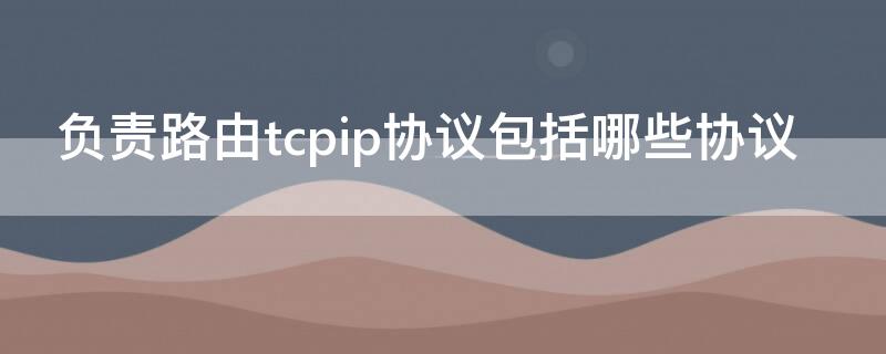 负责路由tcpip协议包括哪些协议（tcpip协议包含哪些协议）