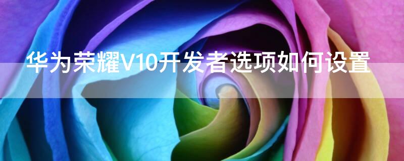 华为荣耀V10开发者选项如何设置 华为v10开发者选项在哪