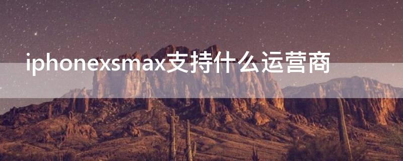 iPhonexsmax支持什么运营商（iphonexsmax运营商在哪里设置）