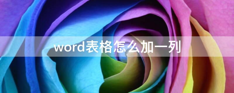 word表格怎么加一列 word表格怎么加一列同样的表格