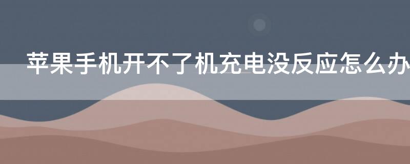 iPhone手机开不了机充电没反应怎么办（iphone手机开不了机充电也没反应）
